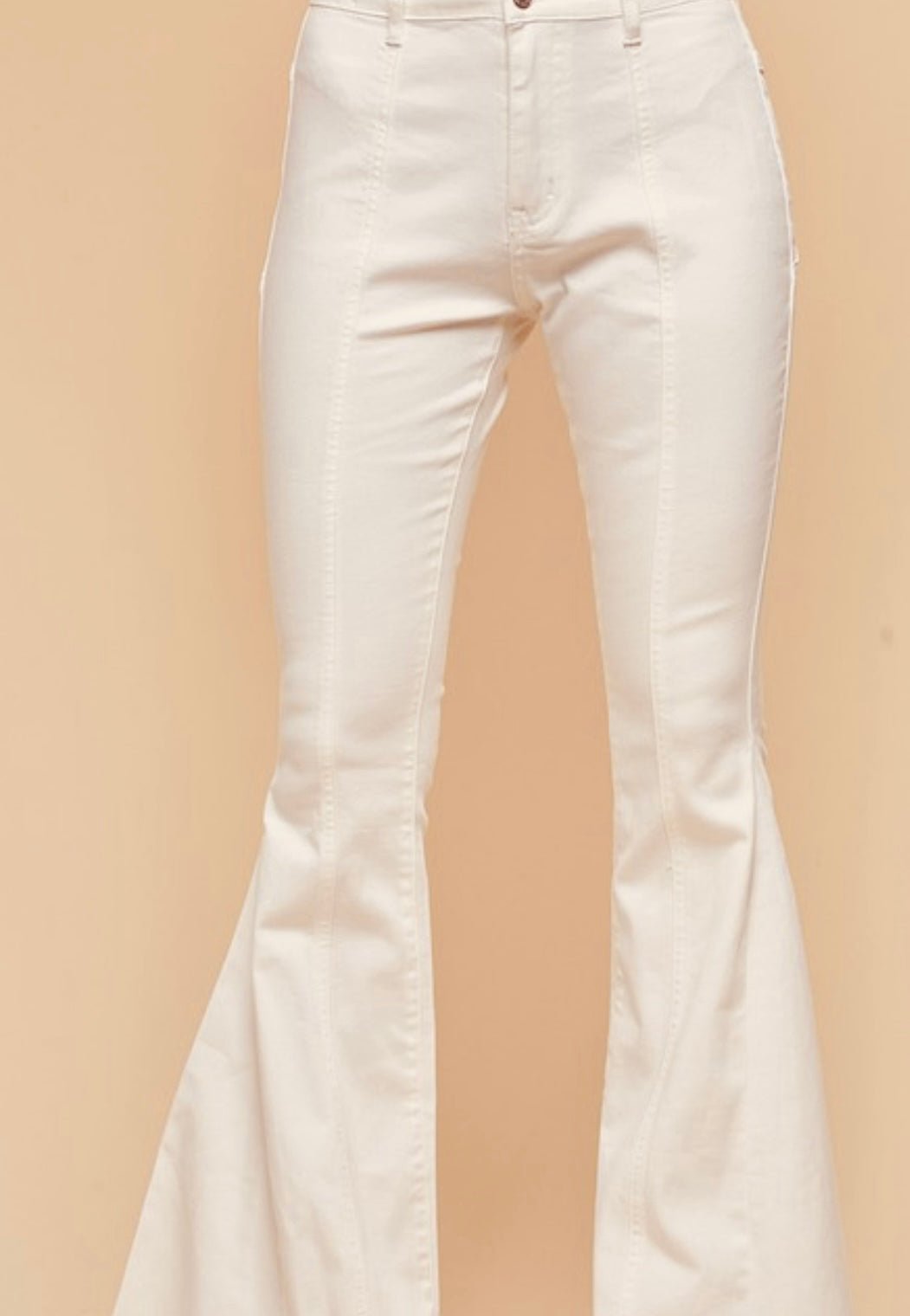 Suede Star Detailed Flared Pants
