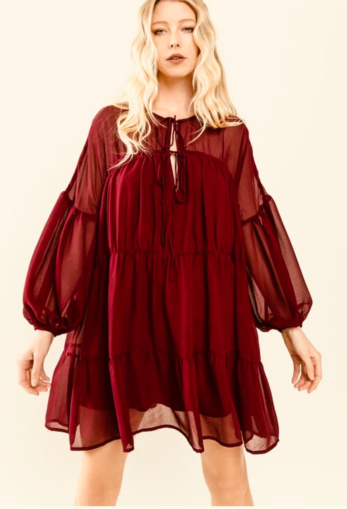 Baby Doll Sheer Dress