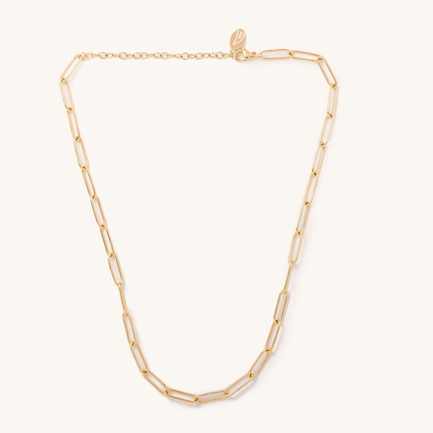 Sasha Gold Chain Necklace- Waterproof