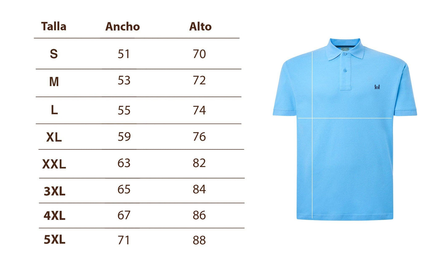 Argentine Marine Polo